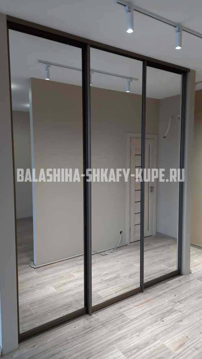 Встроенные шкафы на заказ Балашиха